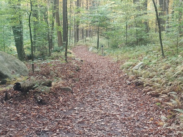 Old Mill Trail