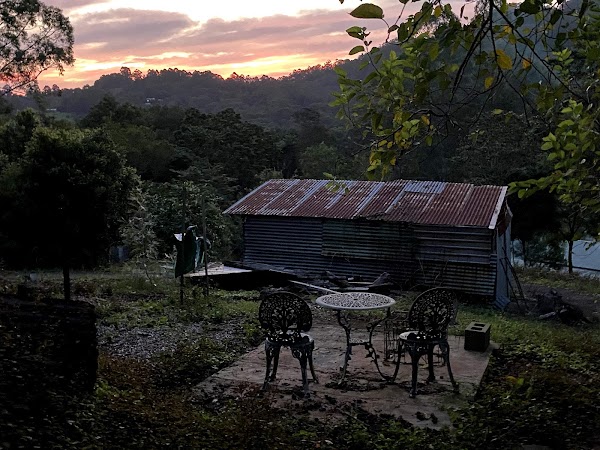 Nimbin 1