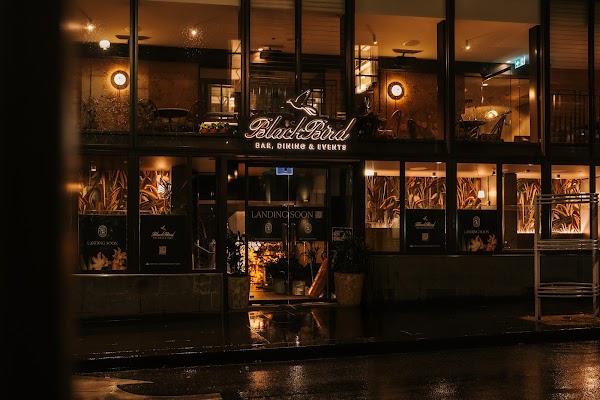 Blackbird Melbourne