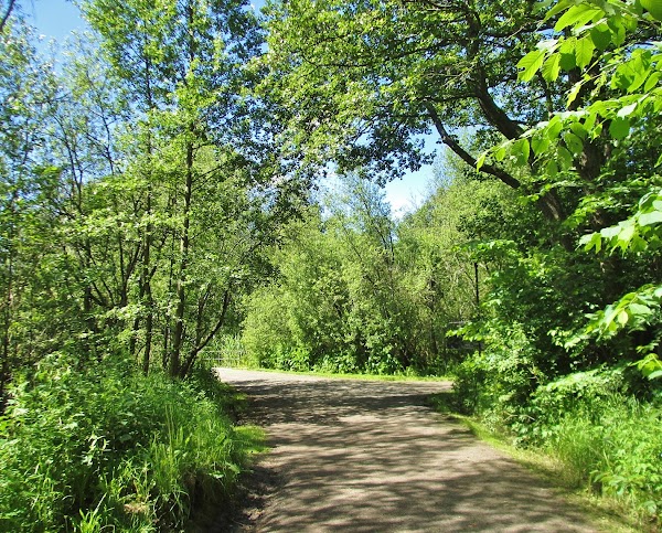 Råstasjöns naturreservat