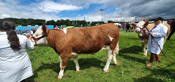 Brechin