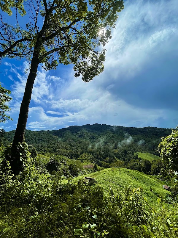 ELEPHANT ECO TRAILS 4