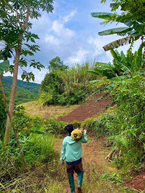 ELEPHANT ECO TRAILS 3