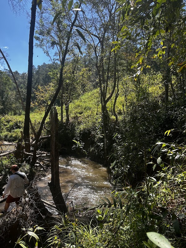 ELEPHANT ECO TRAILS 2