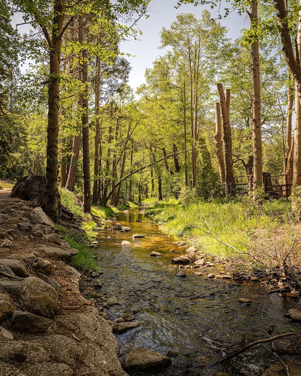 Heart Rock Trail 1