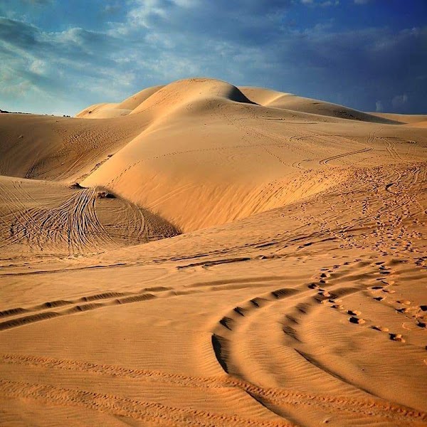 Red Sand Dunes 5