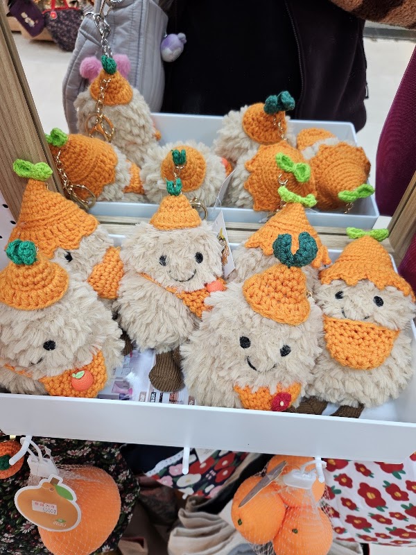 찐찐제주 5