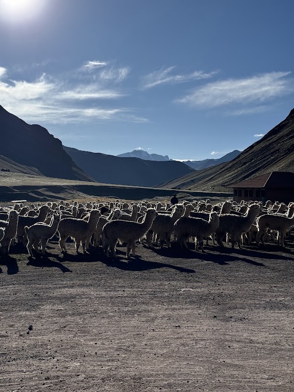 Vinicunca 3
