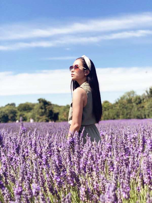 Mayfield Lavender Farm 5