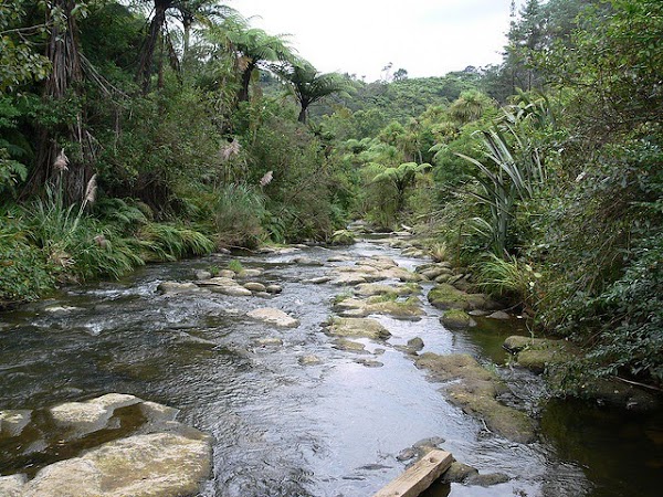 Owharoa Falls 4