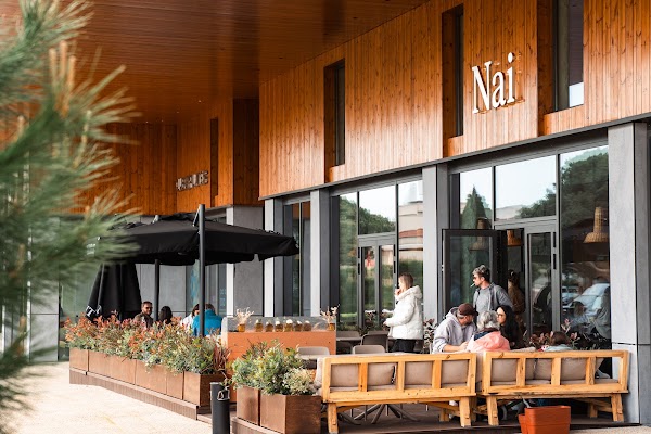 NAI 1