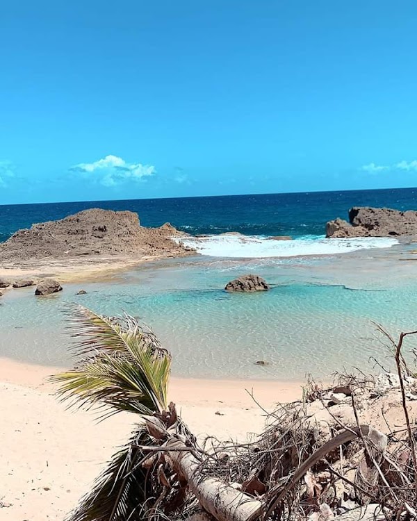 Isabela