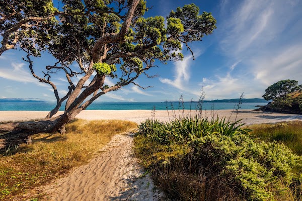 Otama Beach and Reserve