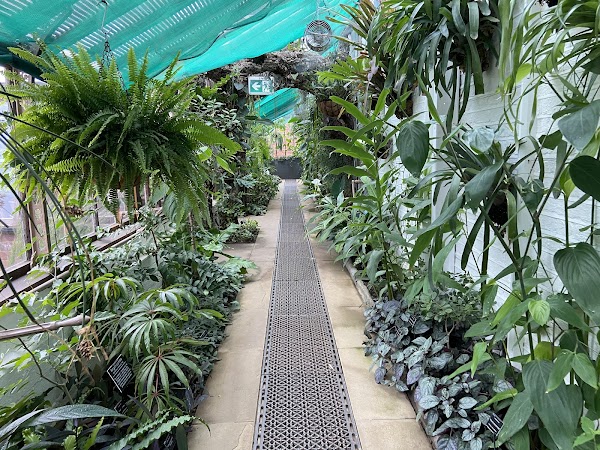 Chelsea Physic Garden 3