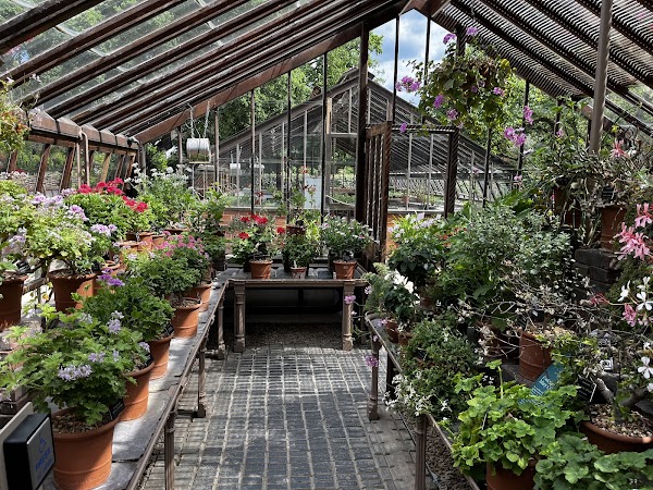 Chelsea Physic Garden 2