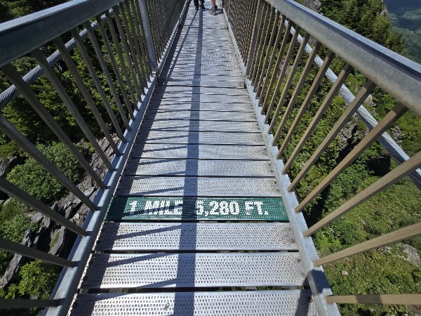 Mile High Swinging Bridge 2