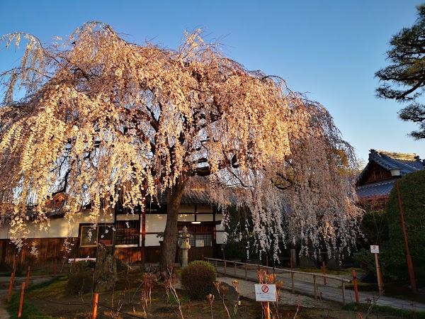 Homman-ji Temple 4