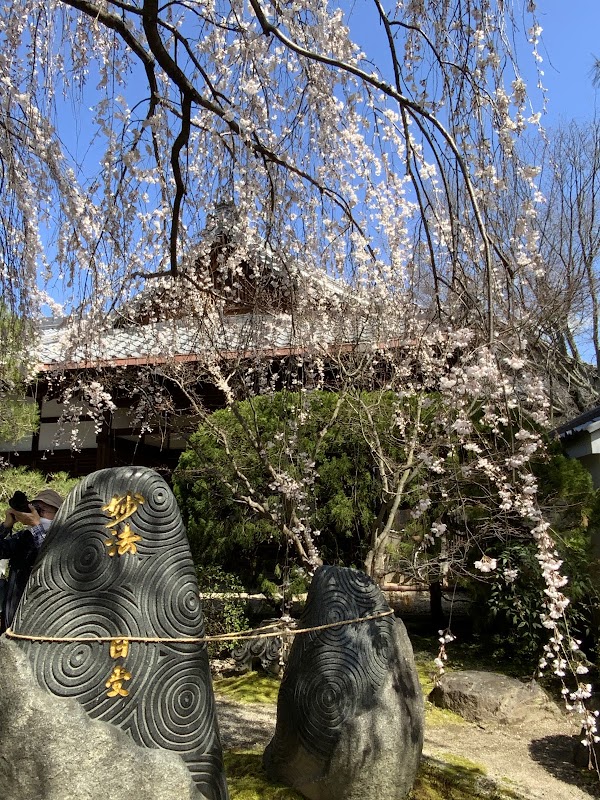 Homman-ji Temple 2