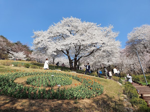 Yeonhui Forest Rest Area 1