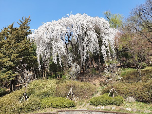 Yeonhui Forest Rest Area 4