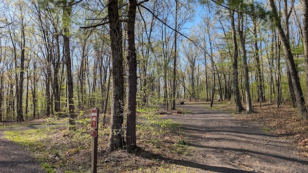 Moon Lake State Forest Recreation Area 1