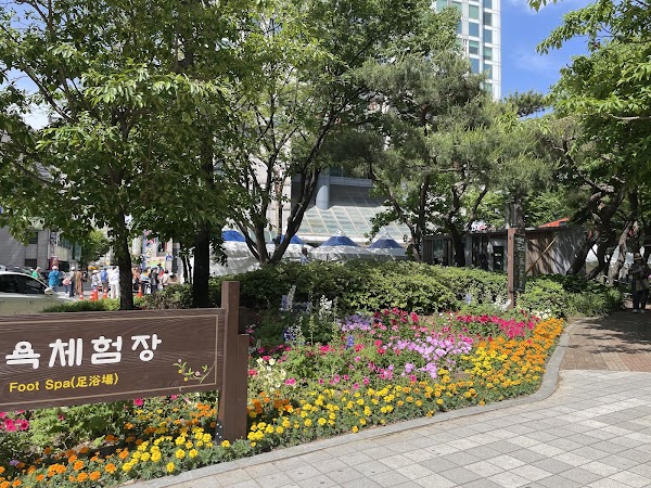 Yuseong foot bath 1