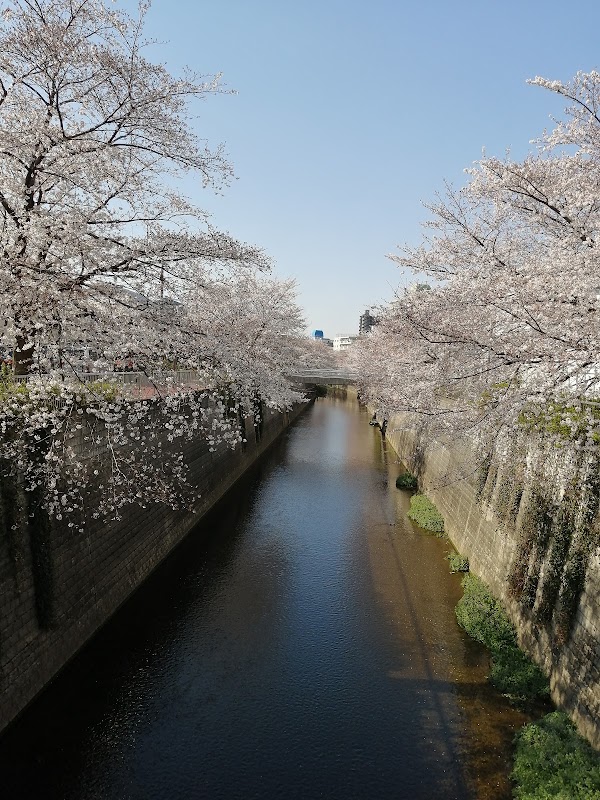 Nerima City