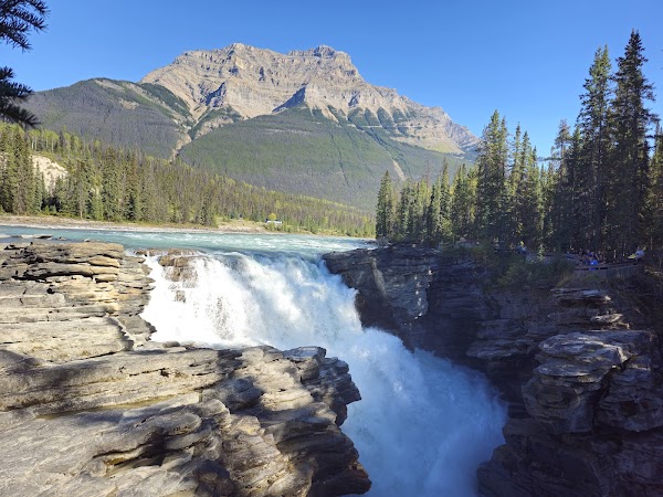 Jasper National Park 5