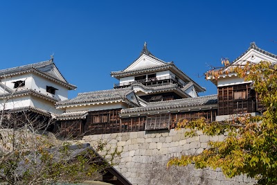 Matsuyama-jō Castle 1