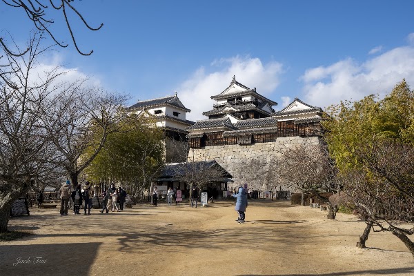 Matsuyama-jō Castle 5