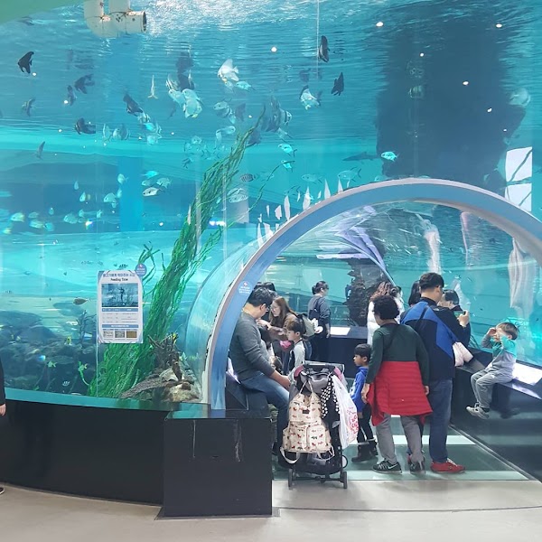 National Maritime Museum 4