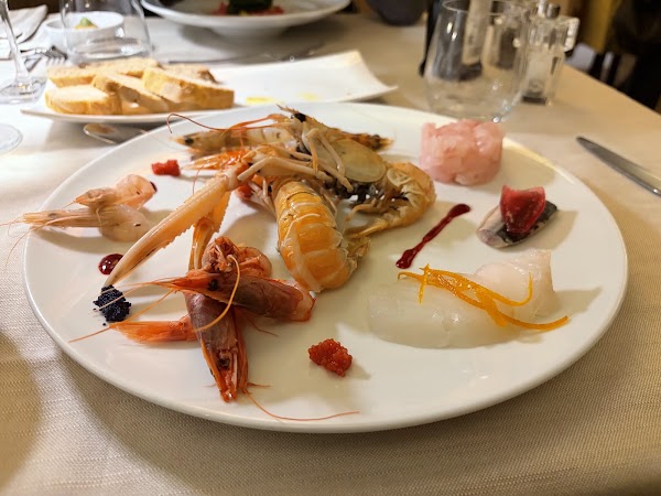Il Cardellino 4