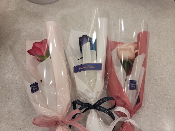꽃마음