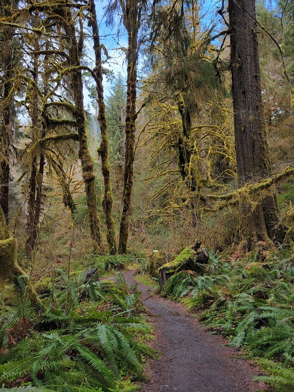 Spruce Nature Trail