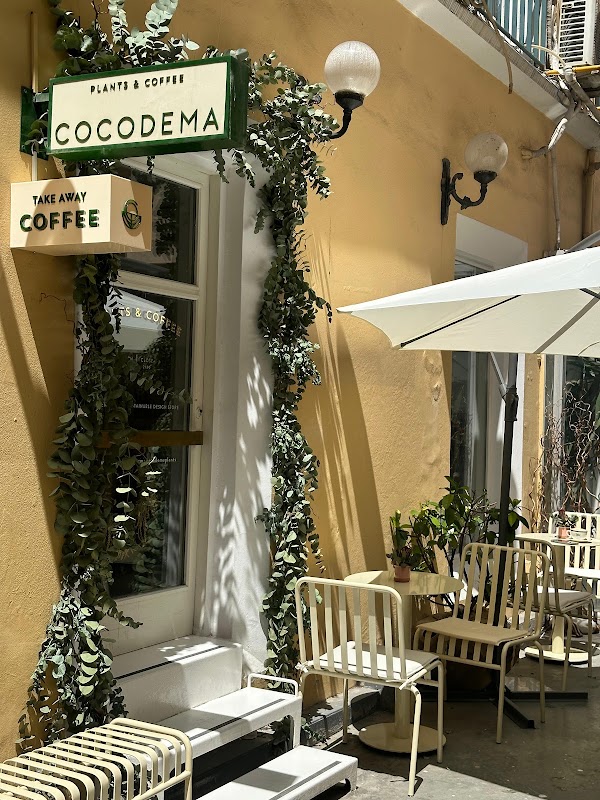 Cocodema