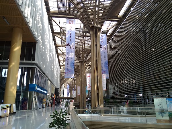 Tianjin Binhai Library 3
