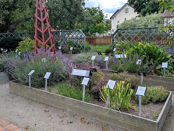 Herb Garden In Skänninge