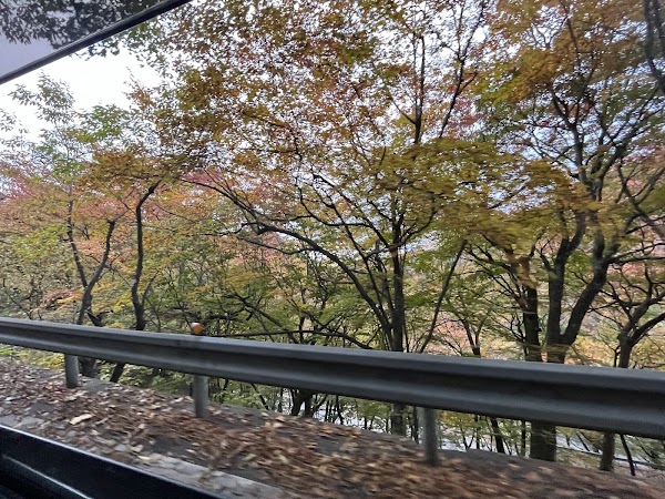 Nikko Iroha Slope InitialD Corner 33 2