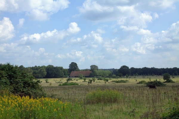 Utrechtse Heuvelrug