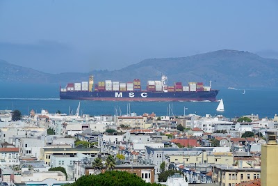 Marina District 1