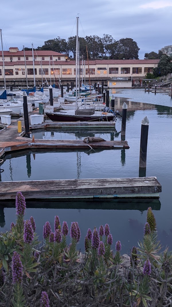 Marina District 5