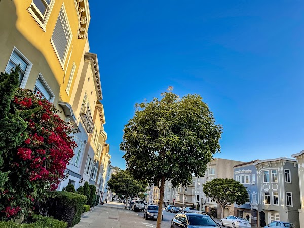 Marina District 4