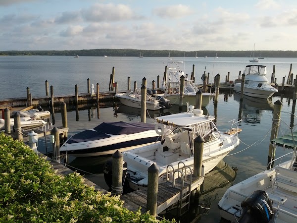 The Hamptons