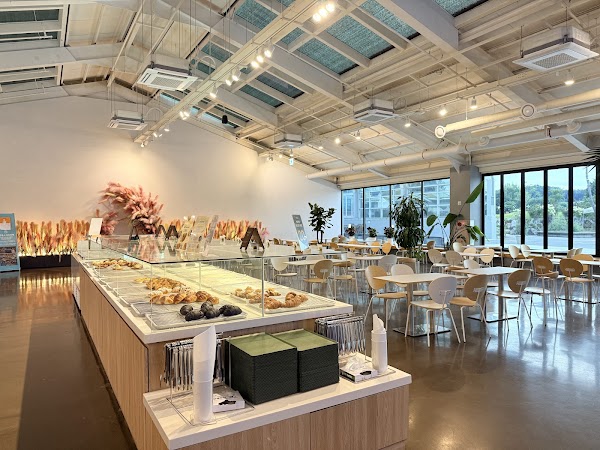 Have Fun Cage Bakery 3