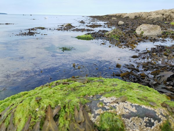Helen's Bay 4