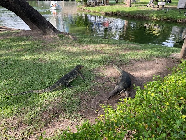 Lumphini Park 2