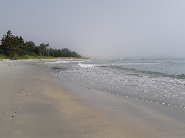 Beach Meadows