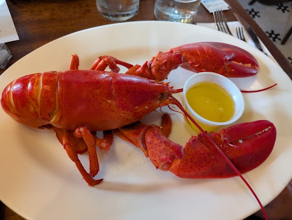Mabel's Lobster Claw 2