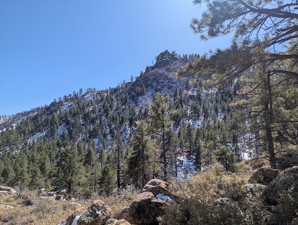 Hualapai Mountains 1