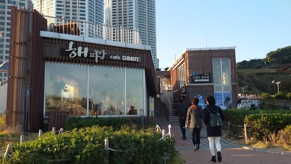 해파랑 카페